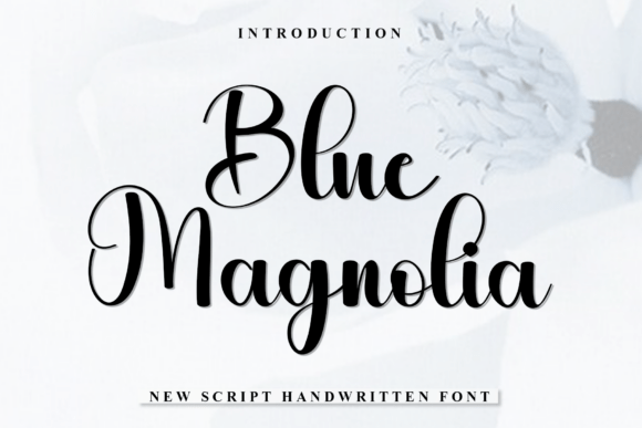 Blue Magnolia: The Perfect Script Amp Font for Warm Digital Branding