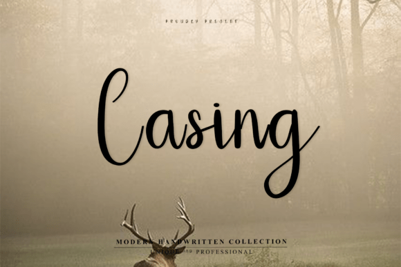 Casing Font for Modern Branding Projects