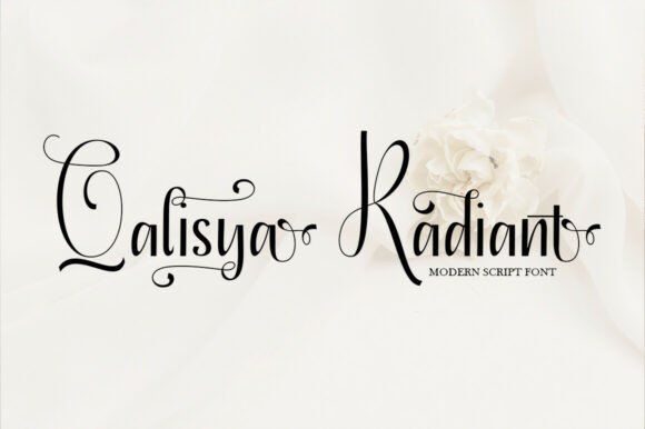Qalisya Radiant: The Premium Script Font for Authentic Branding