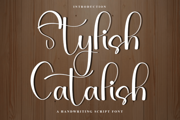 Stylish Catalish: A Festive Font for Digital Branding